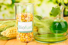 Llanfwrog biofuel availability