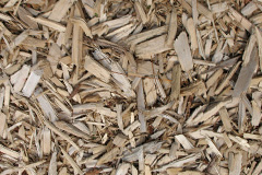 biomass boilers Llanfwrog