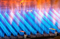 Llanfwrog gas fired boilers